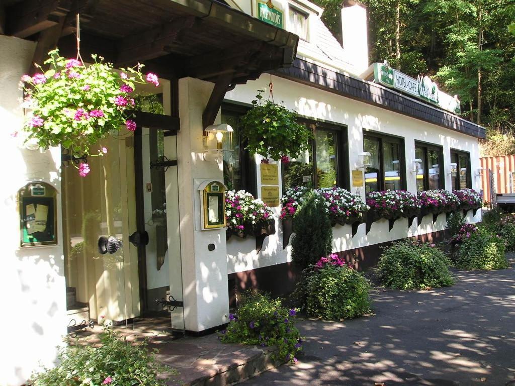Hotel Wiedfriede Rossbach  Exterior photo