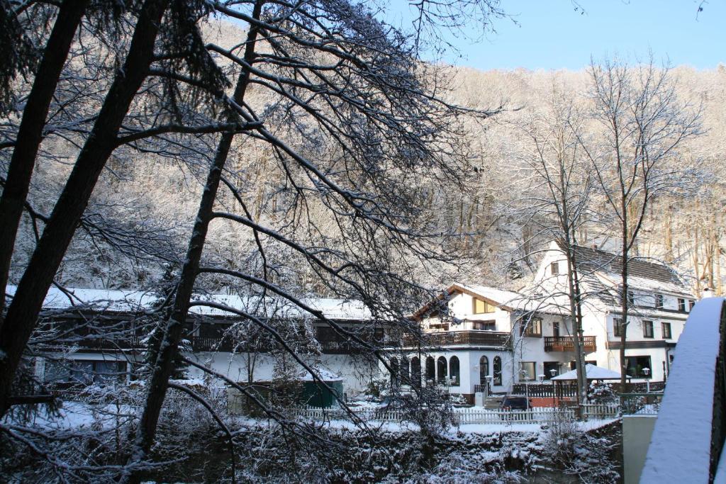Hotel Wiedfriede Rossbach  Exterior photo